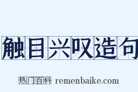 触目兴叹造句是什么意思的图片